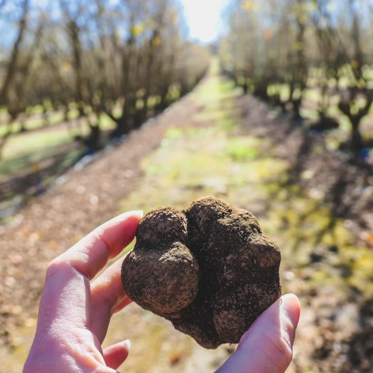 Cassandra Charlick holding a truffle