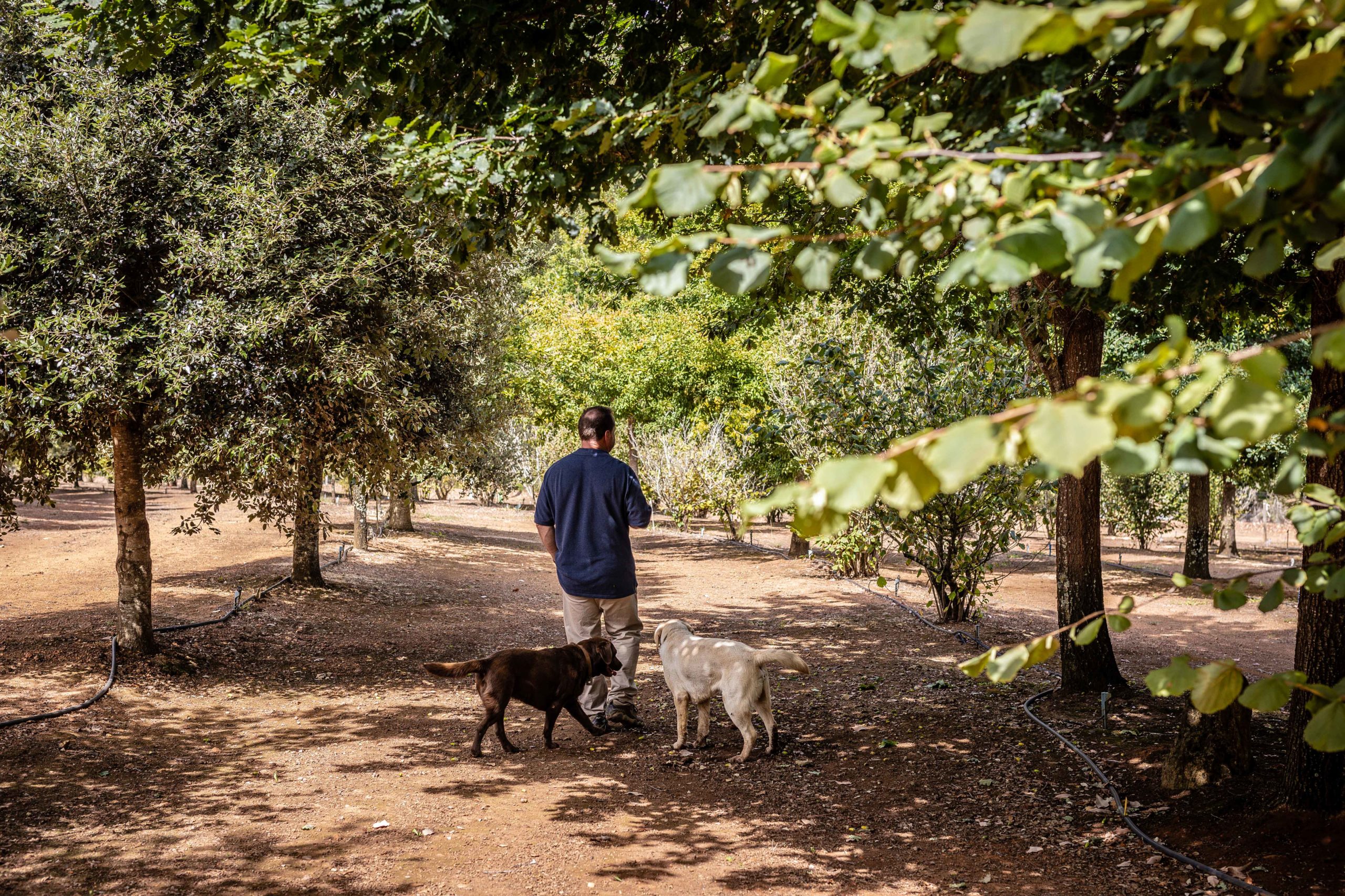 truffle hunting with Earn Your Vino